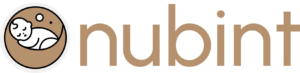 nubint_logo_letter